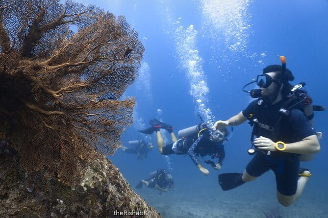 3 Fun Dives King Cruiser Wreck and Koh DokMai for Certified diver - Who Might Want to Consider Alternatives?