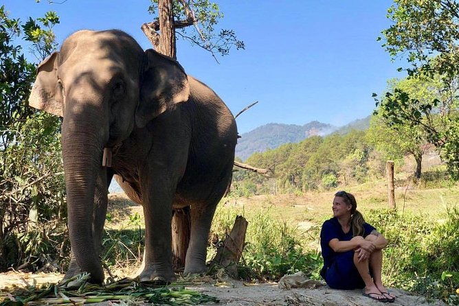 3-in-1: Doi Inthanon Tour, Elephant Sanctuary, and Trekking Trail - Final Thoughts