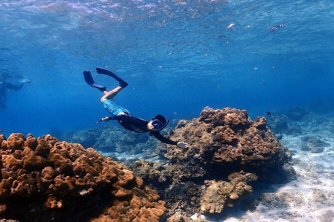 3-Island Speedboat Tour: Racha Noi, Racha Yai & Maiton - FAQ