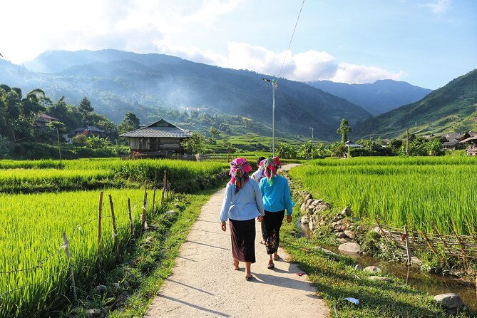 3D2N- Rice Terraces Treks & Easy rider from Sa Pa - Authentic Experiences and Hidden Gems