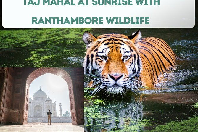4 Day Golden Triangle Tour With Ranthambore Tiger Safari India - Final Thoughts