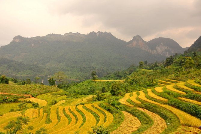 4-Day Jungle Trekking in Ba Be National Park - The Experience and the Value