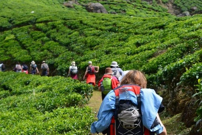 4 Days Best of Kerala Tour with Private Houseboat, Sightseeing & Car - Day Three: Backwaters and Houseboat Serenity
