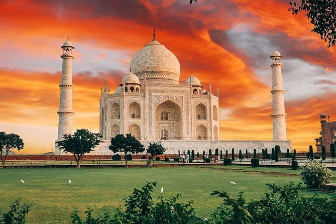 4 days Golden Triangle Tour - Who Is This Tour Best For?