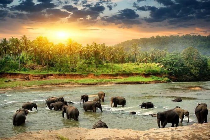 4 Days Kandy Nuwara Eliya - Meeting Points and Logistics
