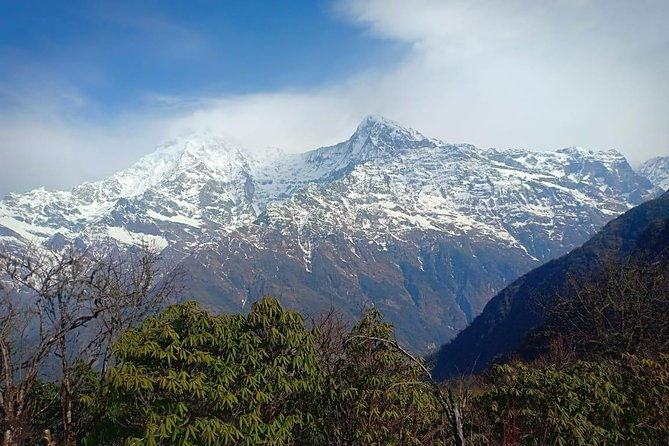 4 Days Mardi Himal Base Camp Trek - 4500 Meters - Authentic Encounters and Hidden Gems