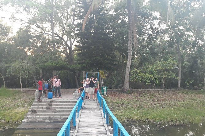5-Day Sundarban Tour: The Wild Life Adventure - The Sum Up