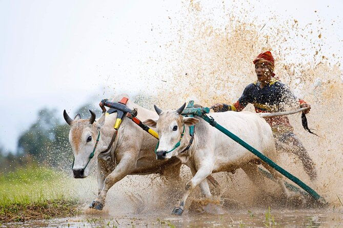 5-Days Private Tour in West Sumatera - Who Should Consider This Tour?