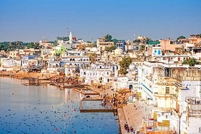 5 Nights 6 Days Private Golden Triangle Tour with Ranthambore - Final Thoughts
