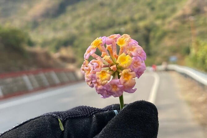 6- Day Trip Uttarakhand Getaway - To The Yoga Capital Of The World - Practical Considerations: What You Need to Know