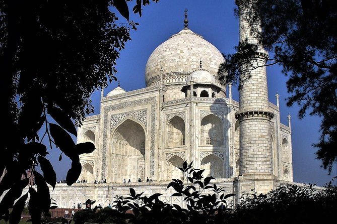 6 Days Golden Triangle Tour with Pushkar from Delhi - Final Verdict