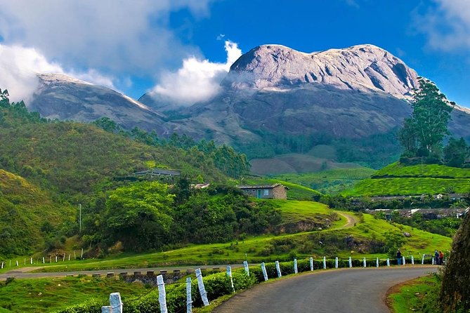 7-Days Kerala Luxury Tour from Cochin - Coastal Relaxation: Kovalam Beach and the South Coast