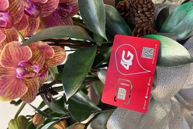 7 Days Unlimited DATA SIM CARD Vietnam - Who Should Consider This Tour?