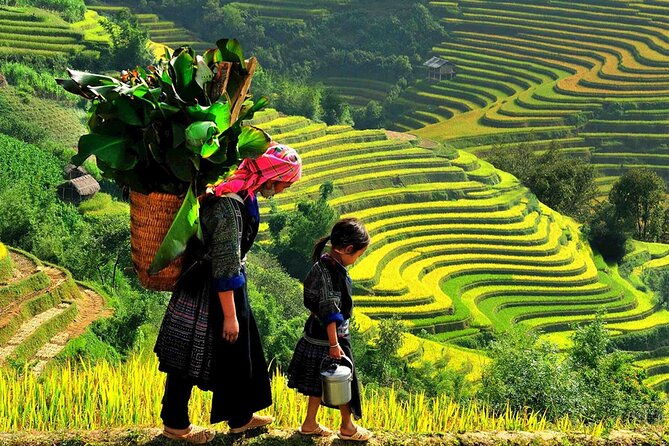 7 Days Vietnam Travel (Hanoi- Ninh Binh - Sapa - Ha Long) - Who Is This Tour Best For?
