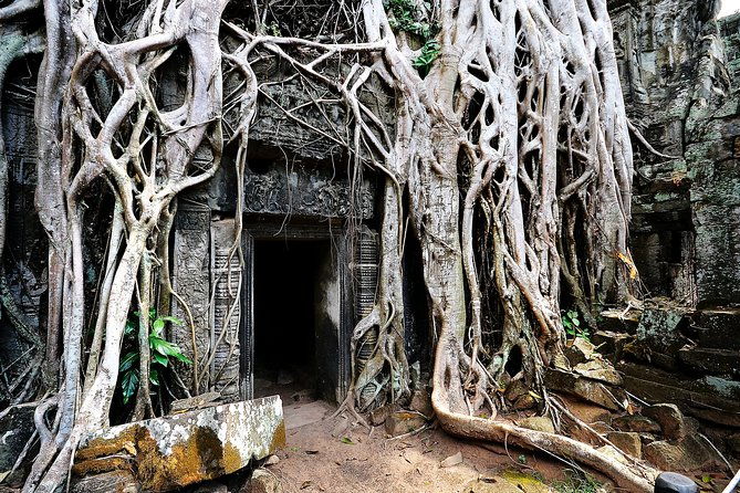 7-must See Temples in Angkor Park (Private Guided Tour) - Final Thoughts