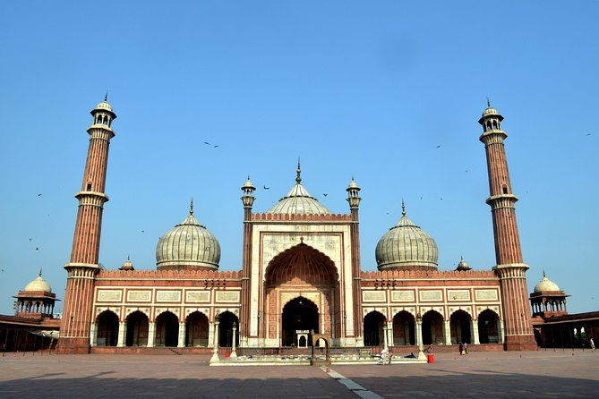8-Day Private Golden Triangle Tour with a Ranthambore Wildlife Safari - Who Is This Tour Best Suited For?