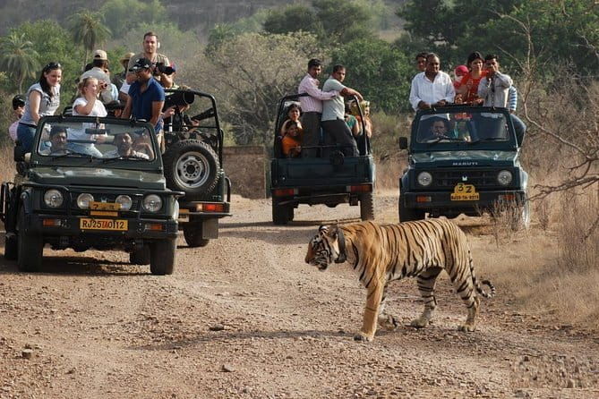 8 Days Golden Triangle with Ranthambore & Udaipur Tour - Frequently Asked Questions