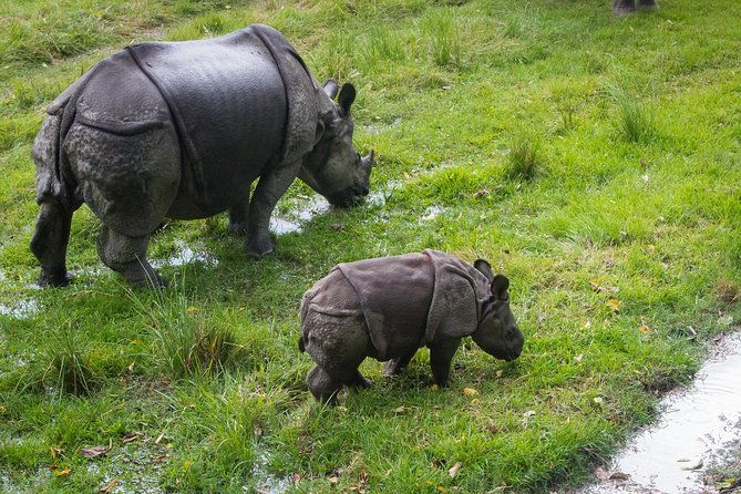 8 Days Nepal Tour (Kathmandu, Pokhara, and Chitwan Tour) - FAQ