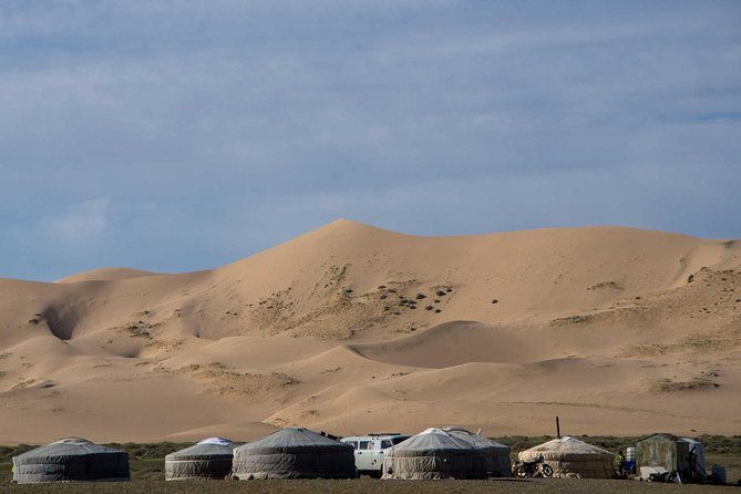 8 Days Tour: Gobi Desert And Kharkhorin - What to Expect on the Day-to-Day Itinerary