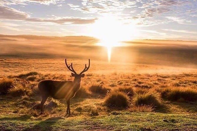 9 Days Private Vehicle & Driver Explore SriLanka By Your Own Plan - Who Will Love This Tour?