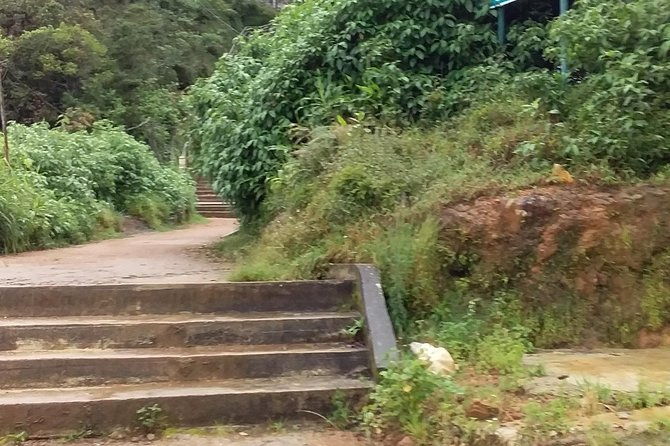 Adam's Peak from Bentota, Beruwala, Kalutara - Who Will Enjoy This Tour?