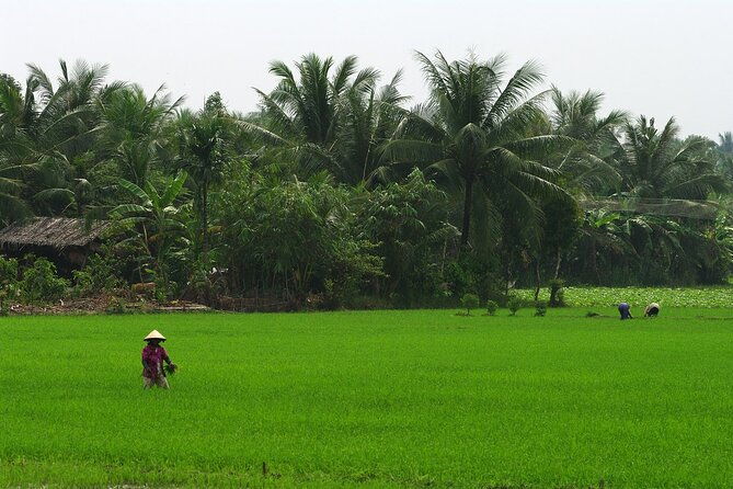Adventure Cu Chi Tunnels and Mekong Delta Tour From HCM - Authentic Experiences That Make a Difference