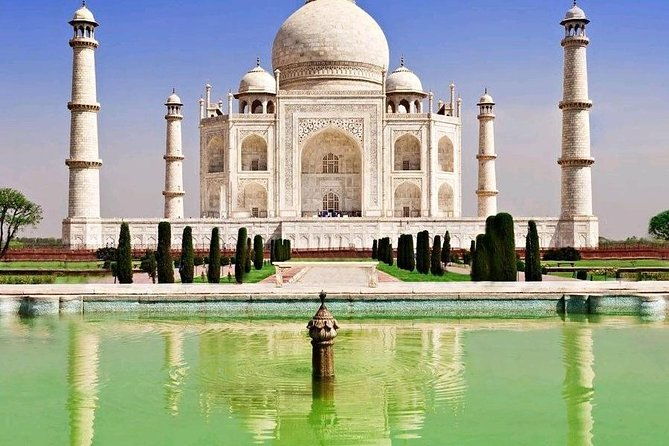 Agra private day tour by car from Delhi to Delhi - Authentic Insights from Past Travelers
