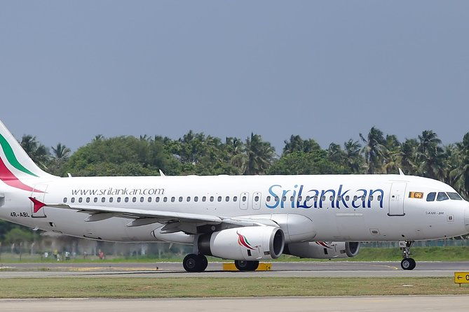 Ahungalla to Colombo Airport - Who Is This Transfer Best For?