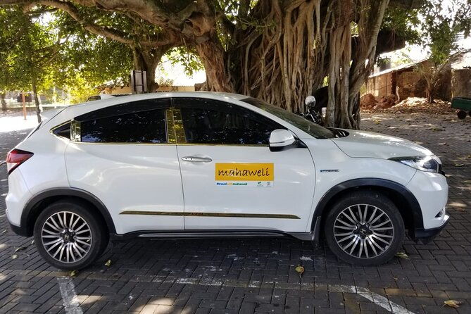 Airport to Kandy Drop - Final Thoughts: Who Will Love This Transfer?