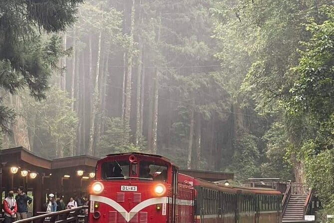 Alishan One Day Tour from Taichung - Final Thoughts