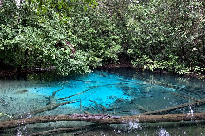 All day Krabi Jungle Tour (Hot Spring Water, Emerald Pool, Tiger Cave Temple) - Who Is This Tour Perfect For?