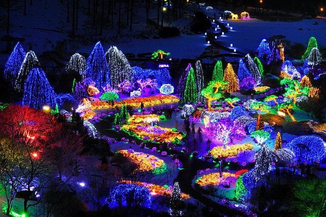 All Day Private Make your own plan tour to Nami Island and others - What We Love About This Tour
