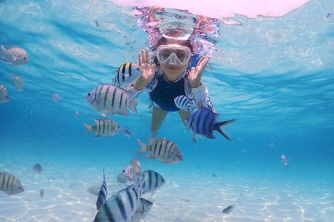 (ALL- IN) Bali Snorkeling Blue Lagoon with Waterfall - The Sum Up
