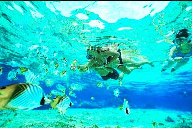 All Inclusive : Bali Blue Lagoon Snorkeling, Lunch, and Transport - Practical Tips for Travelers