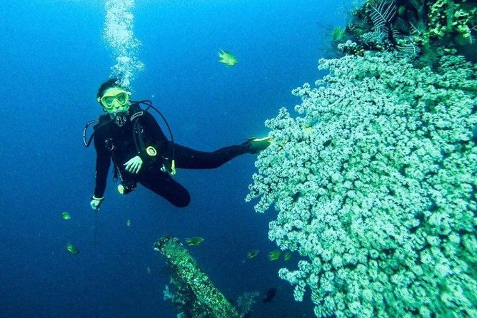 All Inclusive Bali Scuba Diving at Tulamben with Lunch -Transport - What Reviewers Say