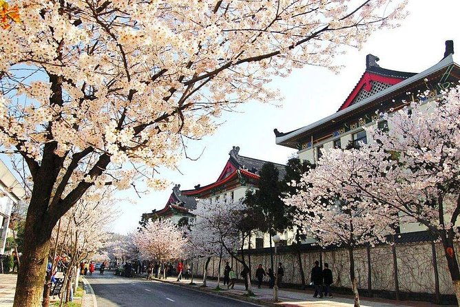 All Inclusive Nanjing City Private Day Tour with Tailor-Made Highlights - A Detailed Look at the Itinerary