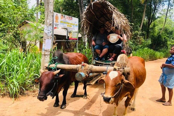 All inclusive Private Day tour Sigiriya, Dambulla & traditional village tour - Pricing and Overall Value