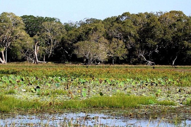 All Inclusive Private day tour to Wipattu National Park From Negombo - The Safari Experience: Wildlife and Scenery