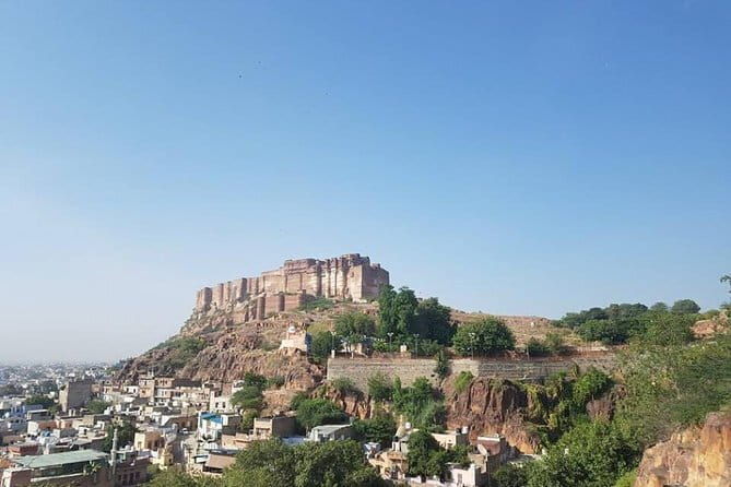 All inclusive Vegetarian Jaipur Food and Heritage Tour - Who Will Love This Tour?