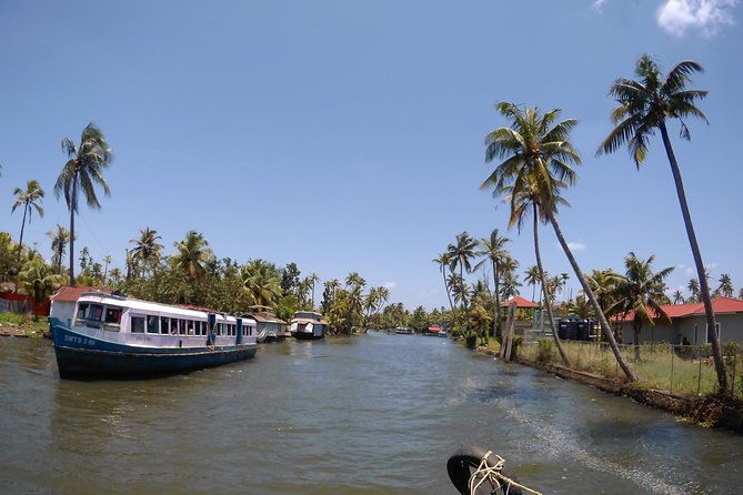 Alleppey Village and Canal Cruise in Houseboat from Kochi. - Who Should Consider This Tour?