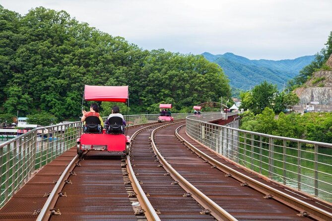 Alpaca World and Nami Island with Gangchon Rail Bike Tour - Final Thoughts