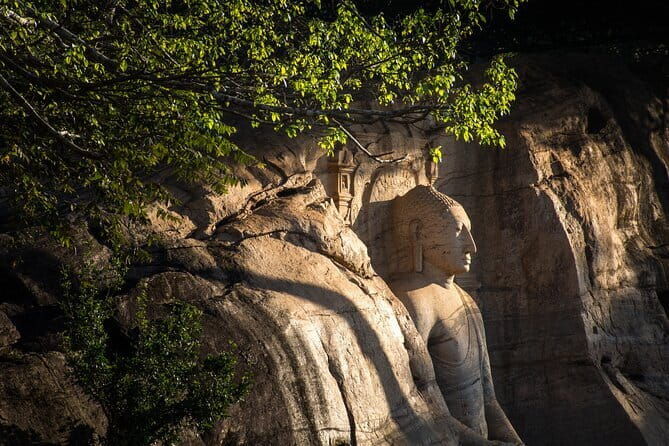 Ancient Kingdom and Wild Elephant Safari from Polonnaruwa - Practical Details and Value