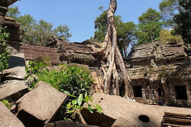 Angkor and Waterfall - Authentic Insights from Travelers