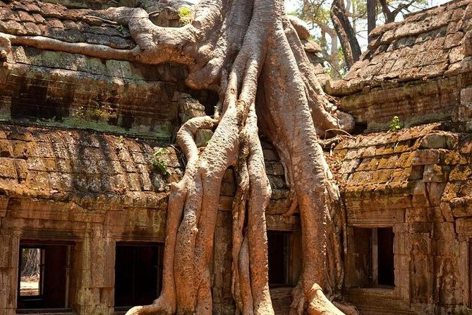 Angkor Wat Private Day Tour - The Sum Up: Who Is This Tour Perfect For?