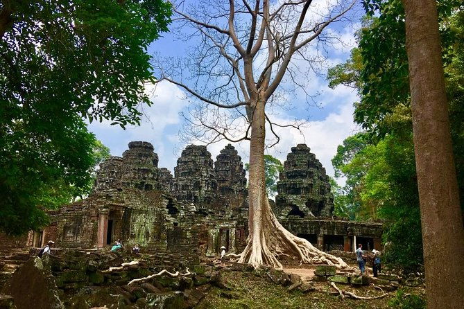 Angkor Wat Sunrise, Ta Promh, Banteay Srei, Bayon Private Tour - Banteay Srei – The Pink Gem  