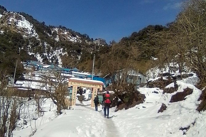 Annapurna: 5 Days Poon Hill Circuit Trek from Pokhara - Day 5: Jhinu Danda to Pokhara