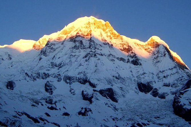 Annapurna Base Camp Trek - Authentic Insights from Reviewers
