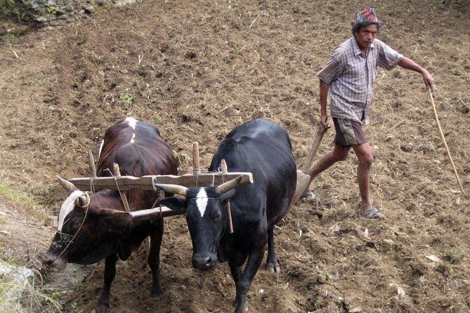Annapurna Base Camp Trek - Who This Trek Is Best For