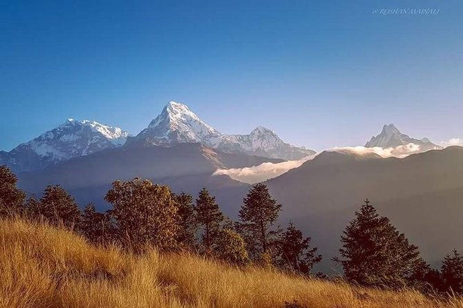 Annapurna Base Camp Trek and Chitwan Excursion - Who is This Tour Best For?