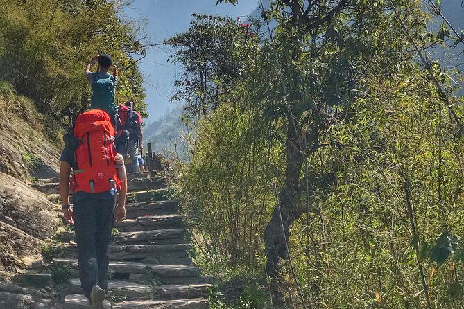 Annapurna Sanctuary Trek ( 11 Days) - Final Thoughts: Who Will Love This Trek?